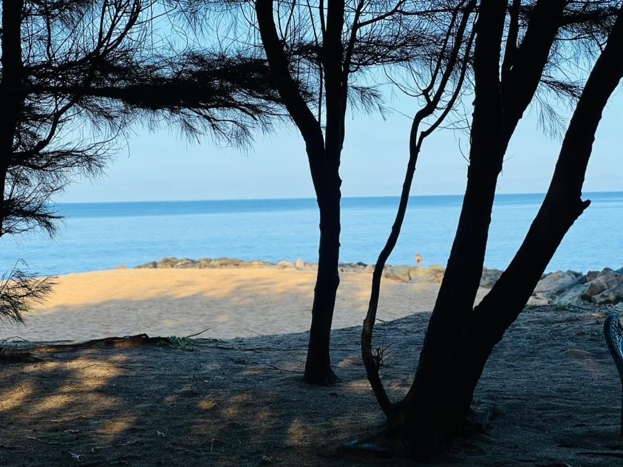 Omeesha Beach Hotel Kalpitiya Luaran gambar